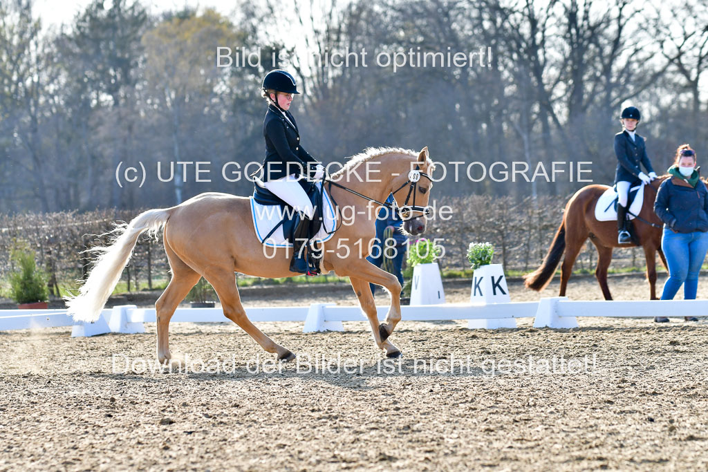 Reitsportzentrum Bremervörde | Dressurreiter WB _165