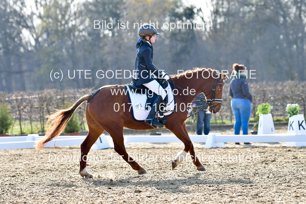 Reitsportzentrum Bremervörde | Dressurreiter WB _166 