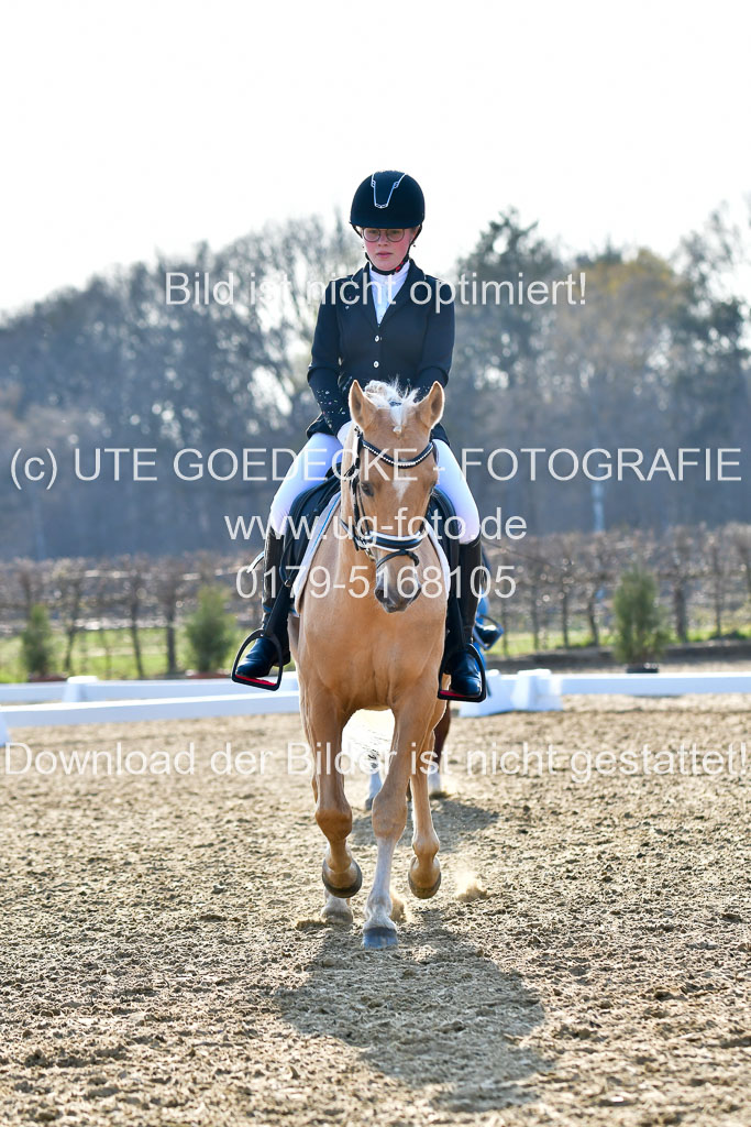 Reitsportzentrum Bremervörde | Dressurreiter WB _168 