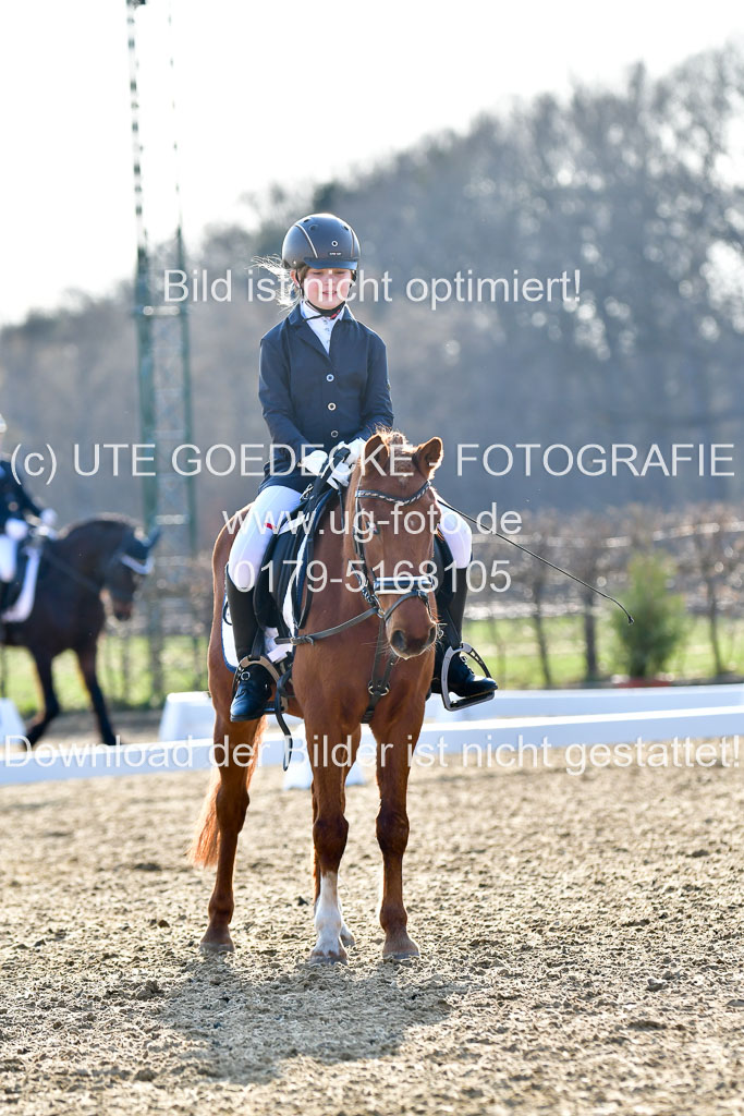 Reitsportzentrum Bremervörde | Dressurreiter WB _173