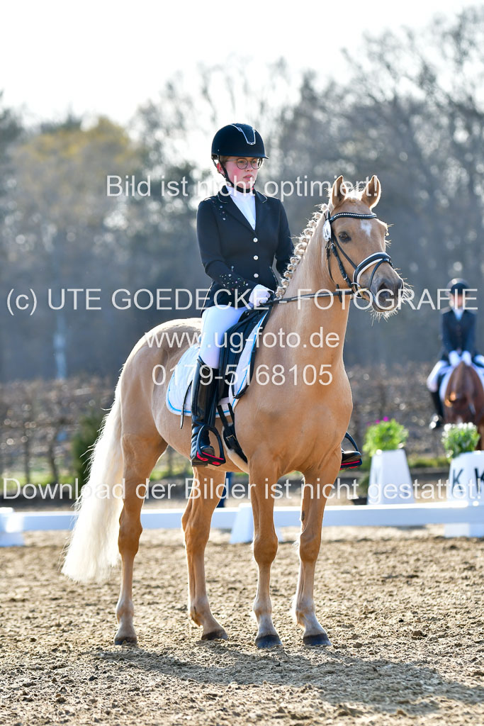 Reitsportzentrum Bremervörde | Dressurreiter WB _174