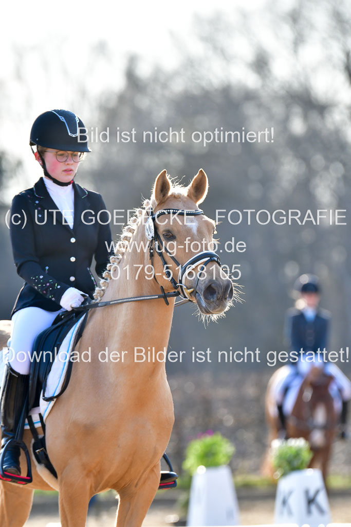 Reitsportzentrum Bremervörde | Dressurreiter WB _175