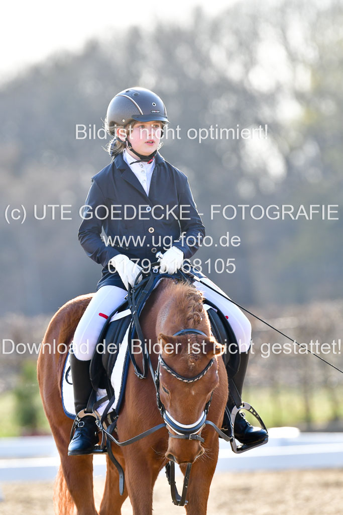 Reitsportzentrum Bremervörde | Dressurreiter WB _176