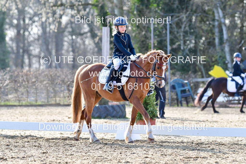 Reitsportzentrum Bremervörde | Dressurreiter WB _177 