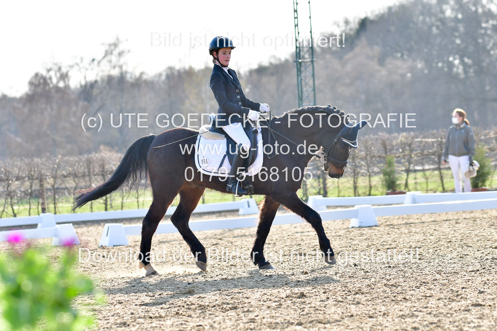 Reitsportzentrum Bremervörde | Dressurreiter WB _182 