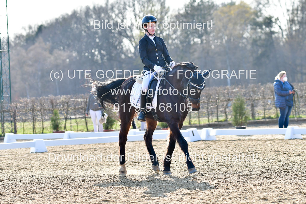Reitsportzentrum Bremervörde | Dressurreiter WB _183