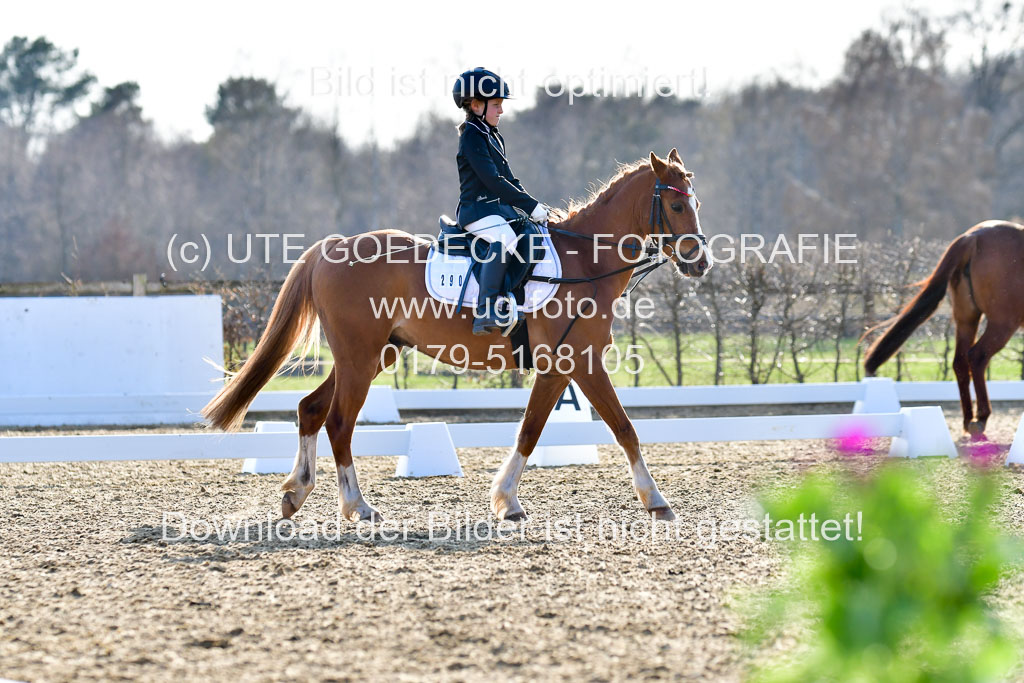 Reitsportzentrum Bremervörde | Dressurreiter WB _190