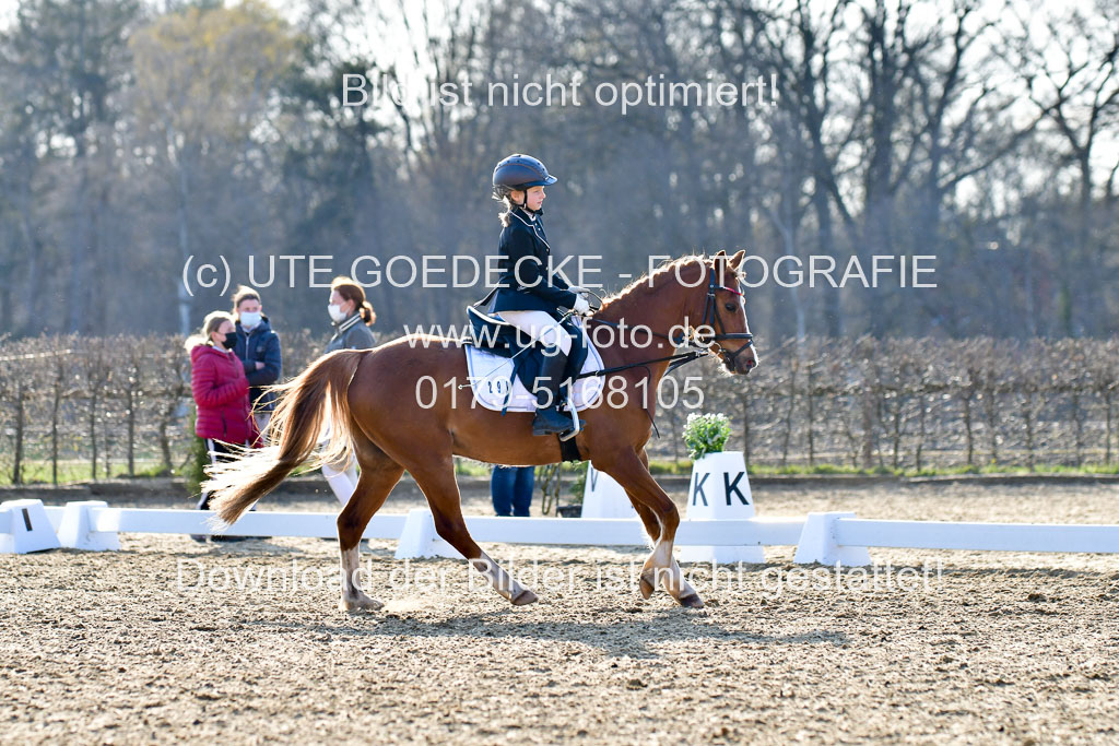 Reitsportzentrum Bremervörde | Dressurreiter WB _193 