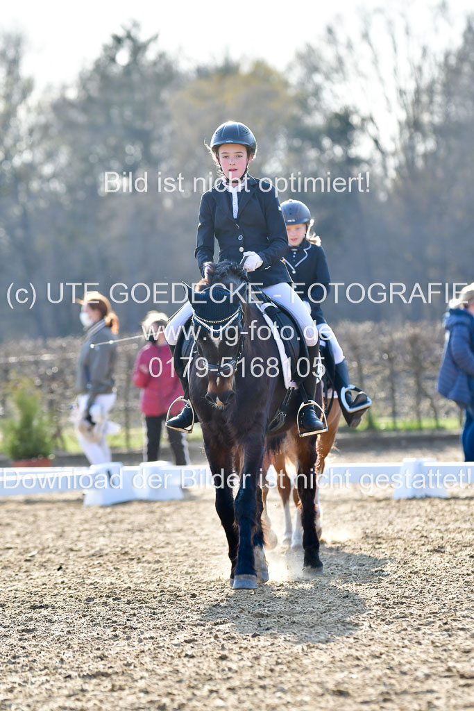 Reitsportzentrum Bremervörde | Dressurreiter WB _198
