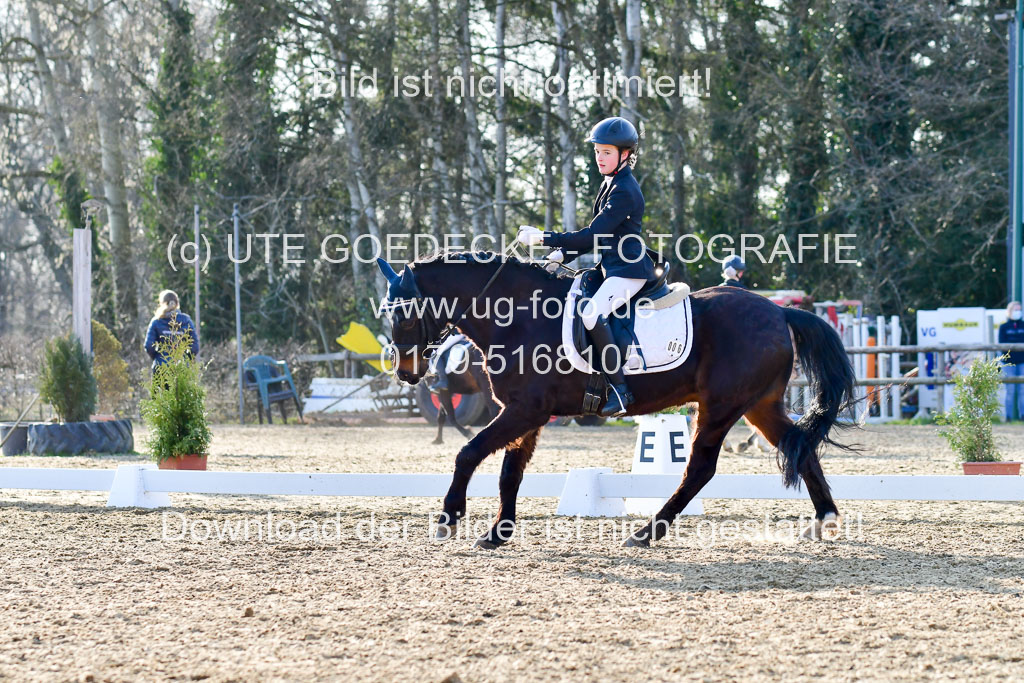 Reitsportzentrum Bremervörde | Dressurreiter WB _199
