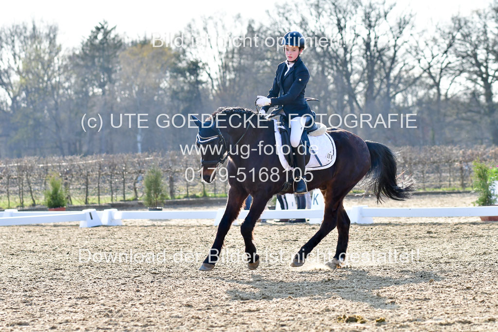 Reitsportzentrum Bremervörde | Dressurreiter WB _201 