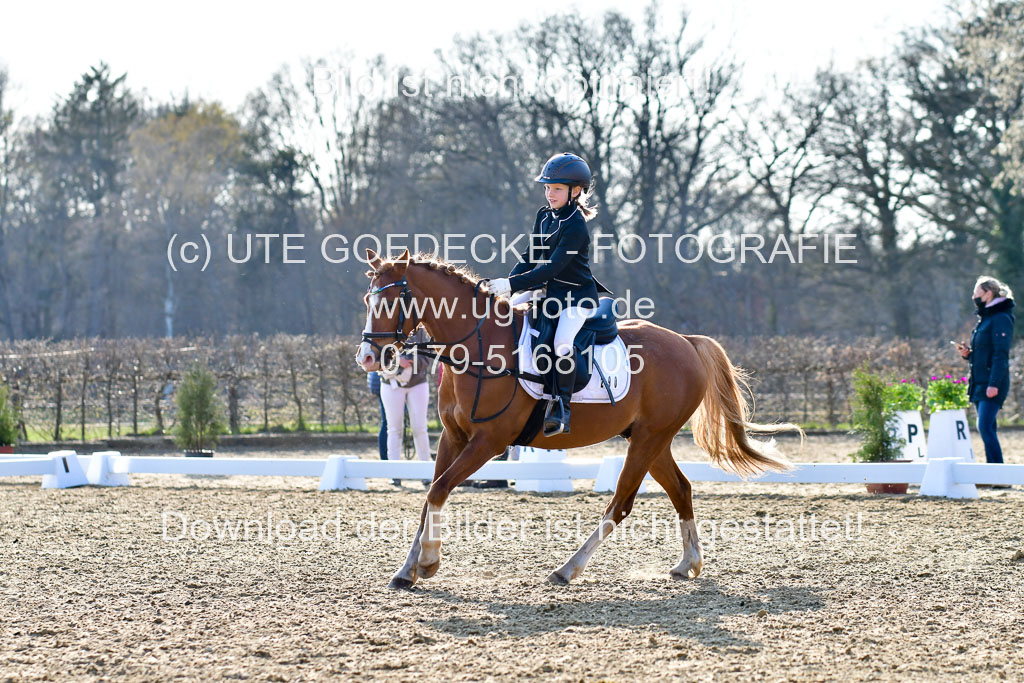 Reitsportzentrum Bremervörde | Dressurreiter WB _203