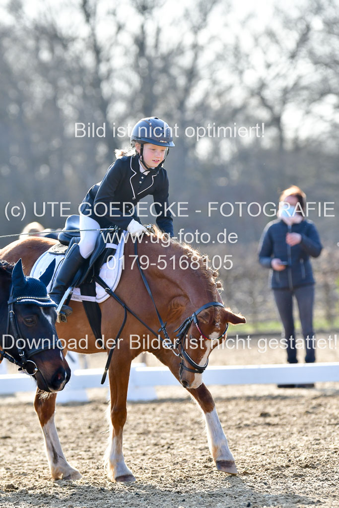 Reitsportzentrum Bremervörde | Dressurreiter WB _208 