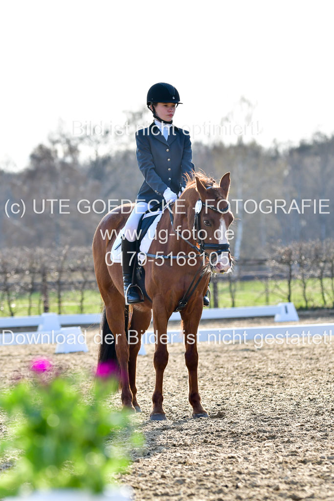 Reitsportzentrum Bremervörde | Dressurreiter WB _215