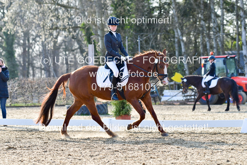 Reitsportzentrum Bremervörde | Dressurreiter WB _220 