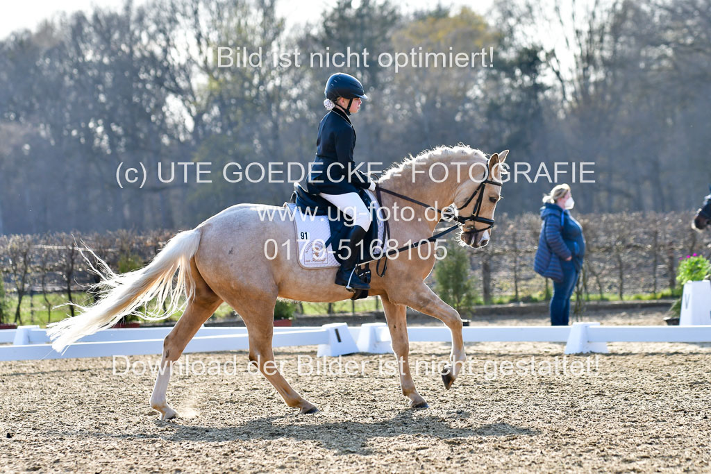 Reitsportzentrum Bremervörde | Dressurreiter WB _221