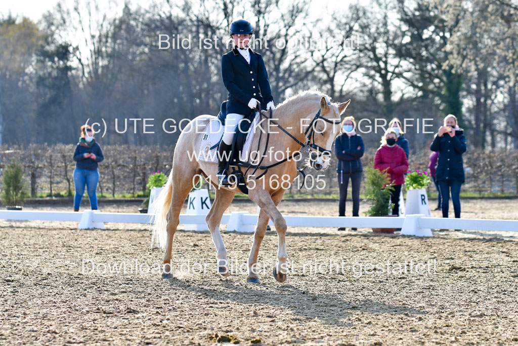 Reitsportzentrum Bremervörde | Dressurreiter WB _226
