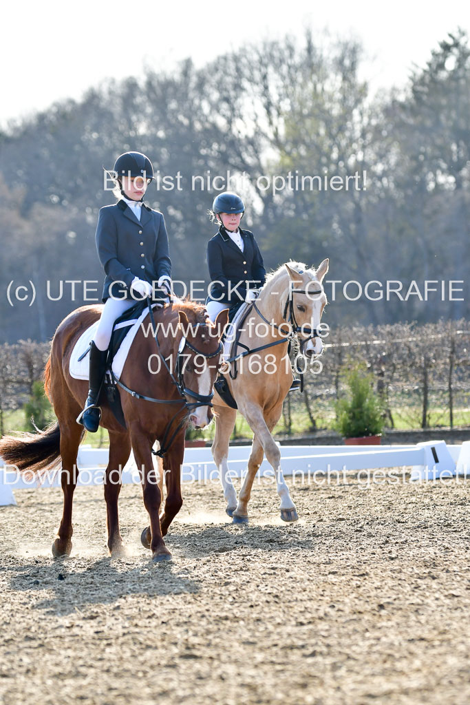 Reitsportzentrum Bremervörde | Dressurreiter WB _229 