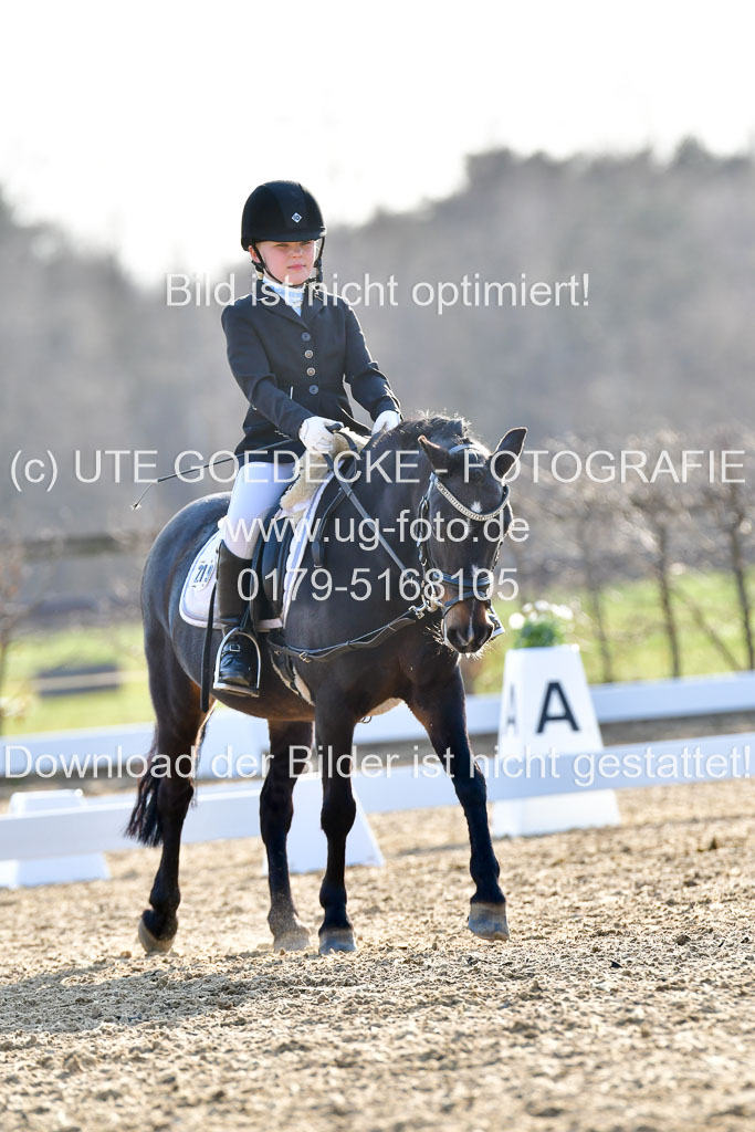 Reitsportzentrum Bremervörde | Dressurreiter WB _235