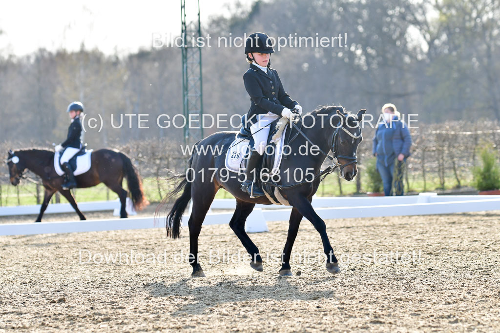 Reitsportzentrum Bremervörde | Dressurreiter WB _238