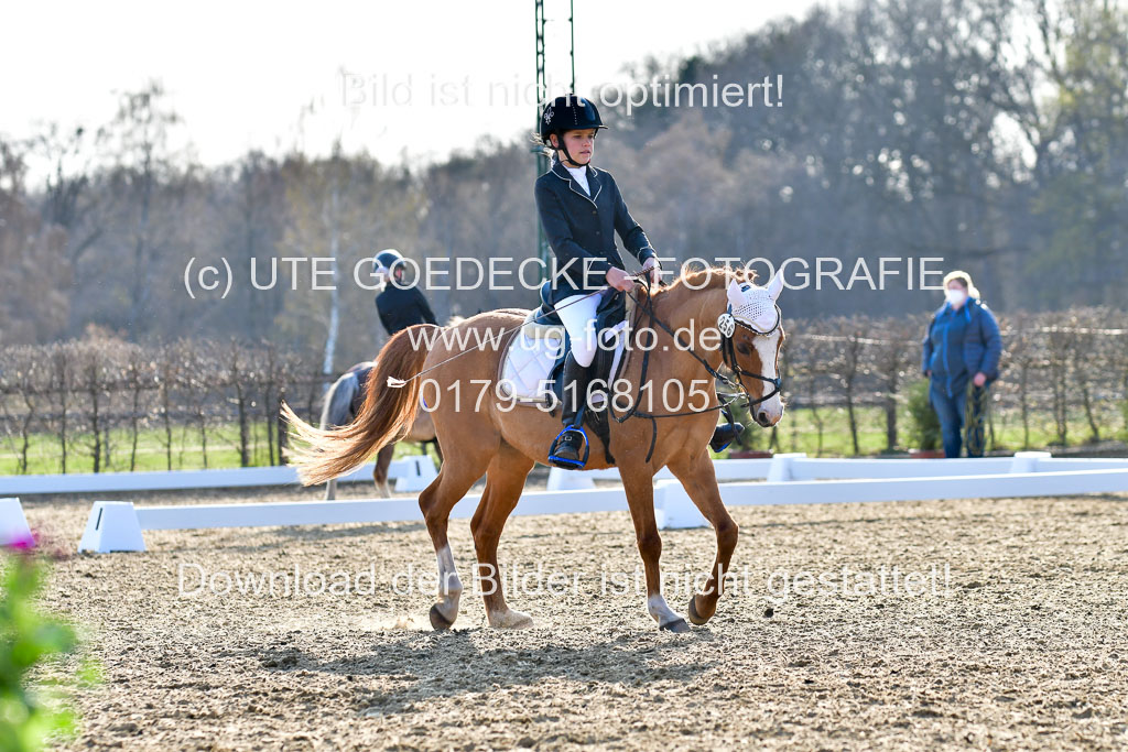 Reitsportzentrum Bremervörde | Dressurreiter WB _239 