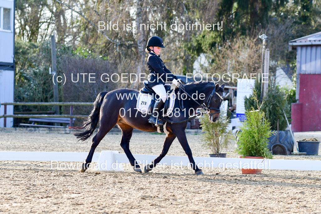 Reitsportzentrum Bremervörde | Dressurreiter WB _242