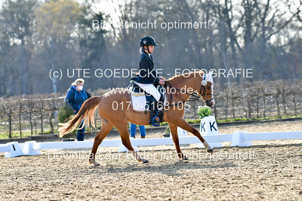 Reitsportzentrum Bremervörde | Dressurreiter WB _249