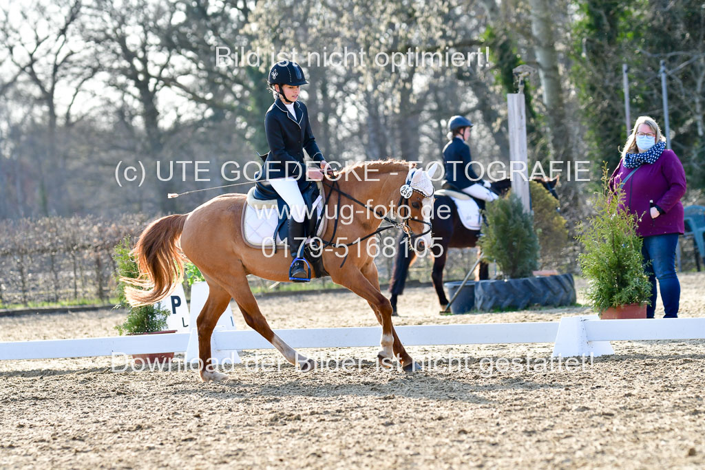 Reitsportzentrum Bremervörde | Dressurreiter WB _251