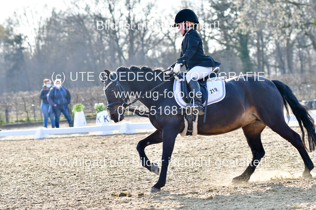 Reitsportzentrum Bremervörde | Dressurreiter WB _252