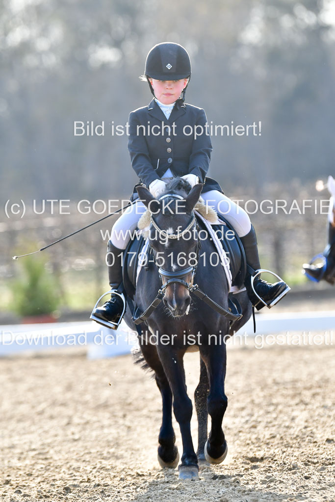 Reitsportzentrum Bremervörde | Dressurreiter WB _254