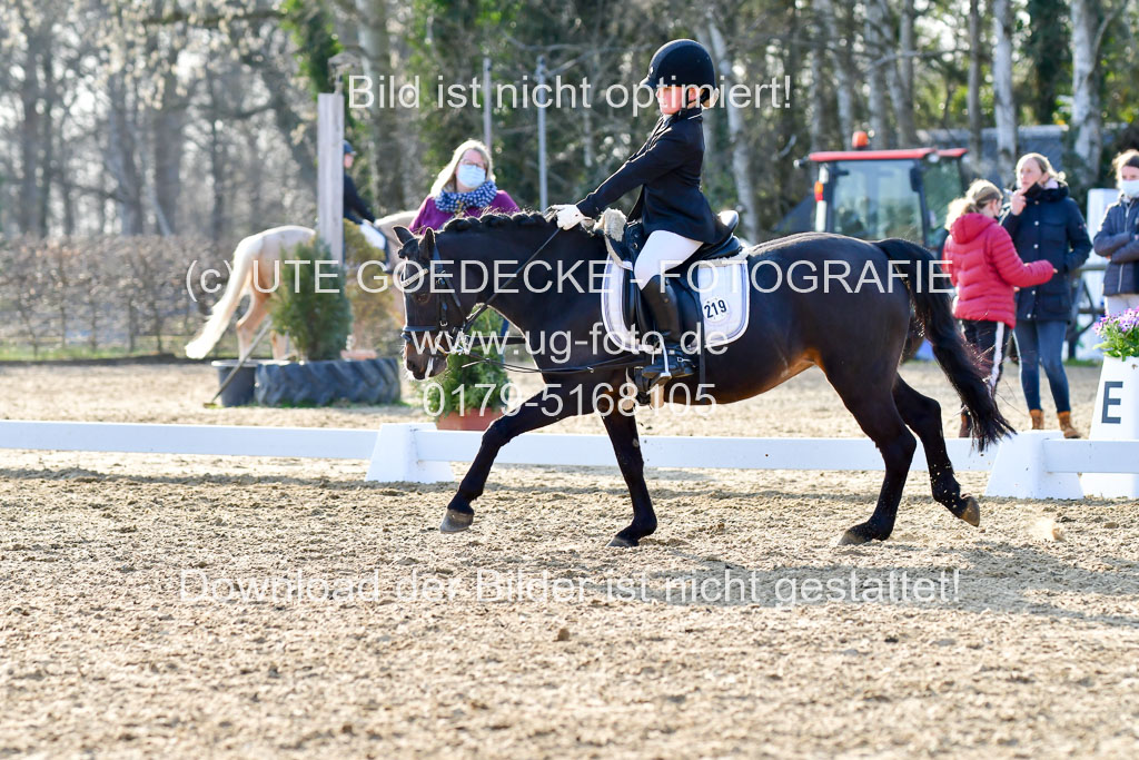 Reitsportzentrum Bremervörde | Dressurreiter WB _256