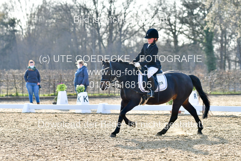 Reitsportzentrum Bremervörde | Dressurreiter WB _258