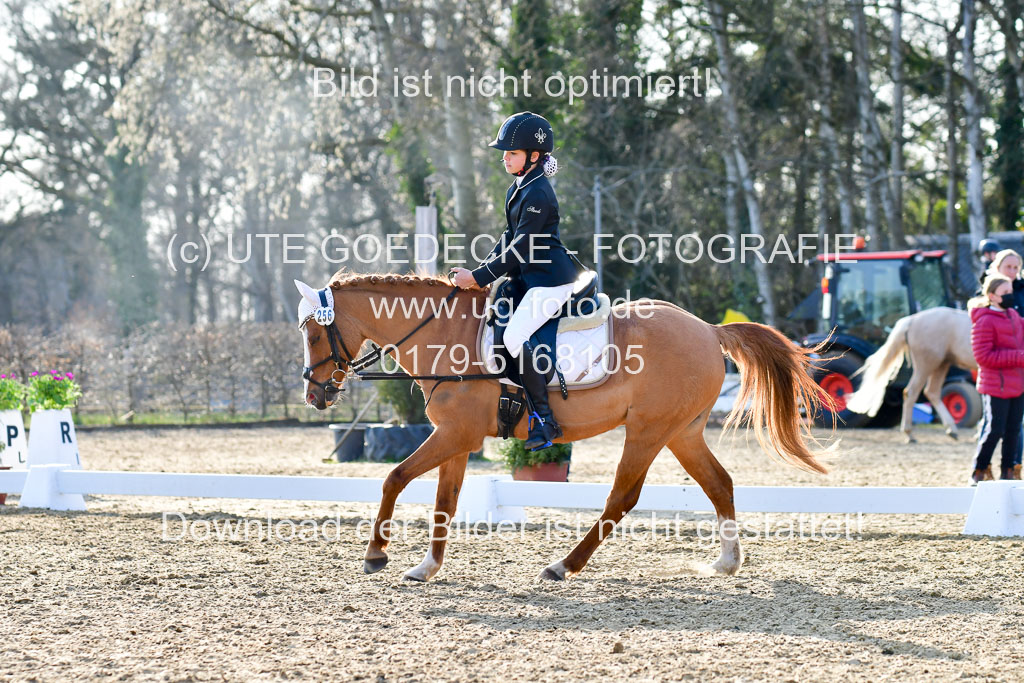 Reitsportzentrum Bremervörde | Dressurreiter WB _262