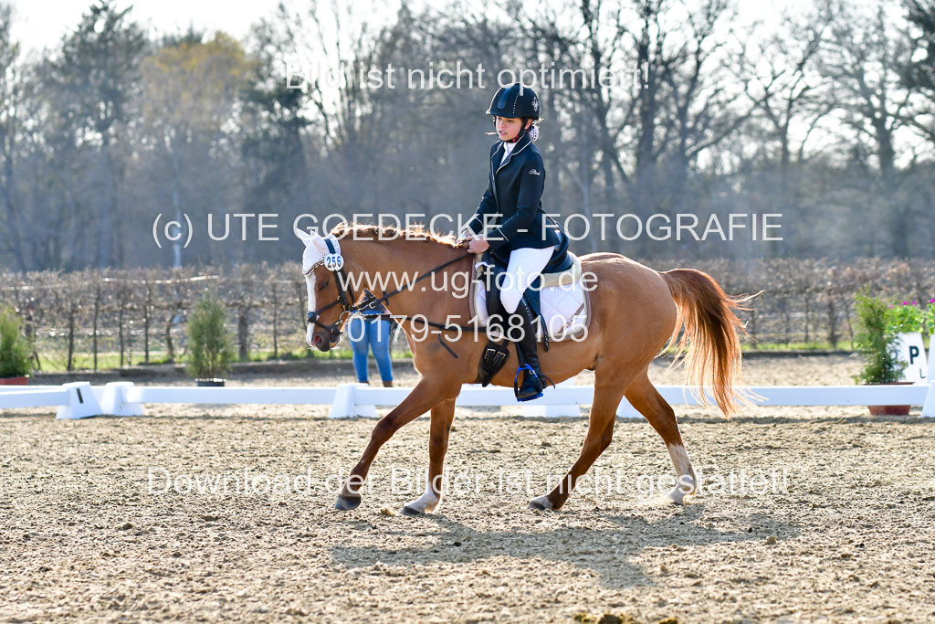 Reitsportzentrum Bremervörde | Dressurreiter WB _264
