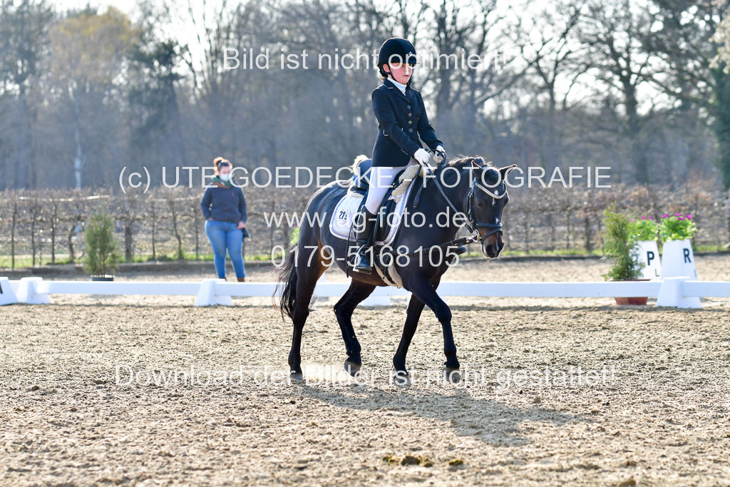 Reitsportzentrum Bremervörde | Dressurreiter WB _265