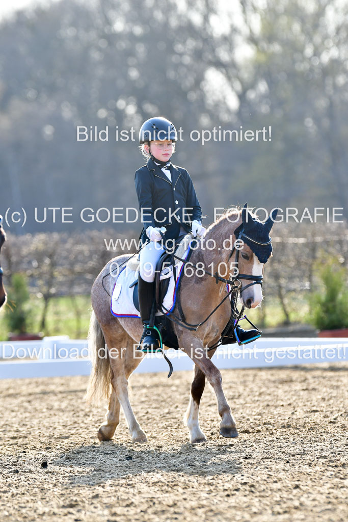 Reitsportzentrum Bremervörde | Dressurreiter WB _270