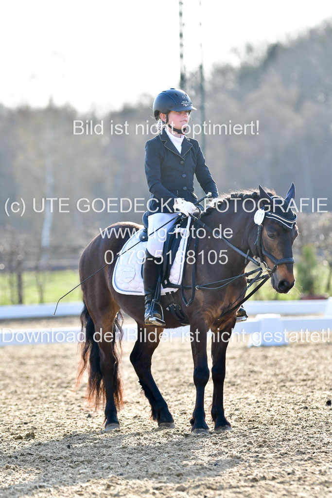 Reitsportzentrum Bremervörde | Dressurreiter WB _272 