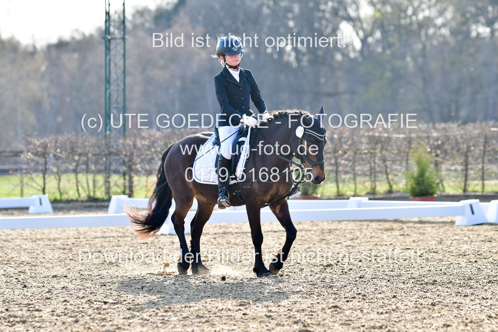 Reitsportzentrum Bremervörde | Dressurreiter WB _274