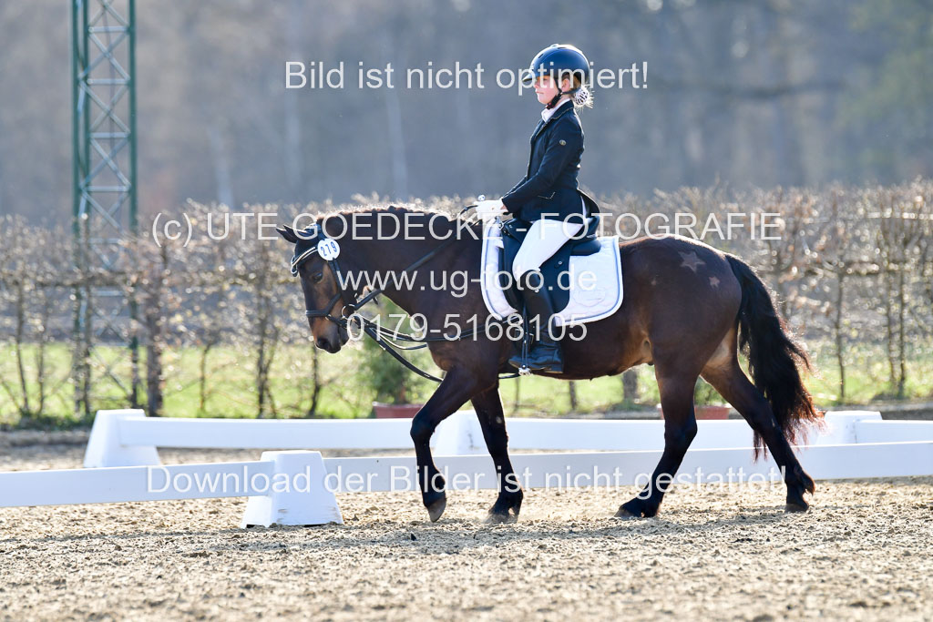 Reitsportzentrum Bremervörde | Dressurreiter WB _276