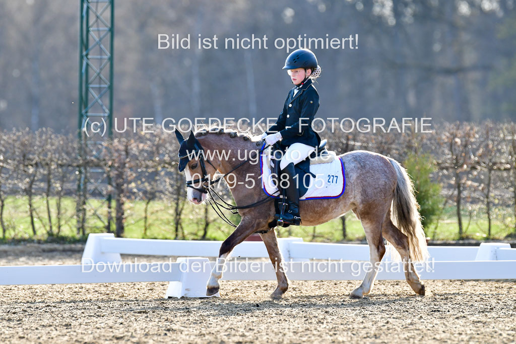 Reitsportzentrum Bremervörde | Dressurreiter WB _277 