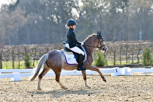 Reitsportzentrum Bremervörde | Dressurreiter WB _002 