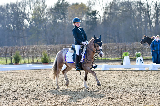 Reitsportzentrum Bremervörde | Dressurreiter WB _012 