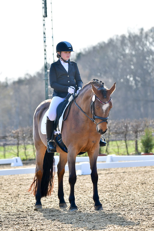 Reitsportzentrum Bremervörde | Dressurreiter WB _030 