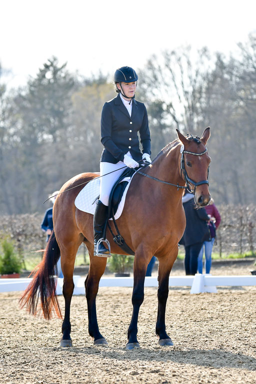 Reitsportzentrum Bremervörde | Dressurreiter WB _031 