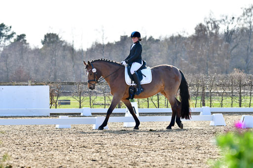 Reitsportzentrum Bremervörde | Dressurreiter WB _033 