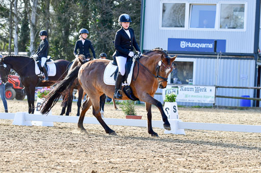 Reitsportzentrum Bremervörde | Dressurreiter WB _035 