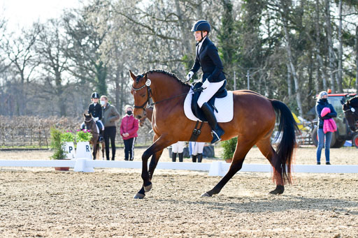 Reitsportzentrum Bremervörde | Dressurreiter WB _037 