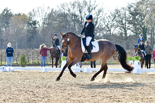Reitsportzentrum Bremervörde | Dressurreiter WB _039 