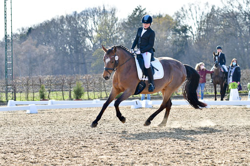 Reitsportzentrum Bremervörde | Dressurreiter WB _040 