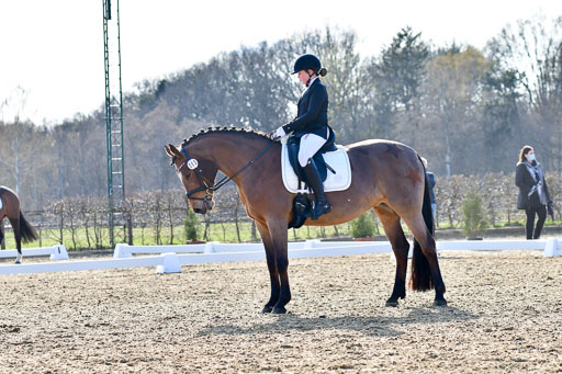 Reitsportzentrum Bremervörde | Dressurreiter WB _041 